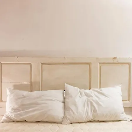Classic Florentine Flat Near Piazza Santa Croce-2